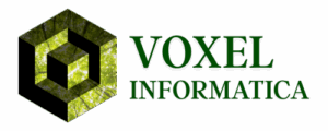 logo v